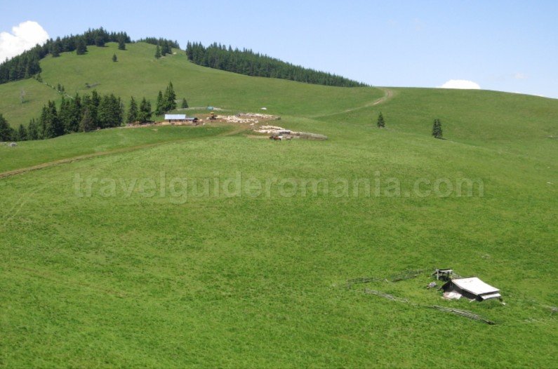 suhard-Ecoturism-Destination-Tara-Dornelor