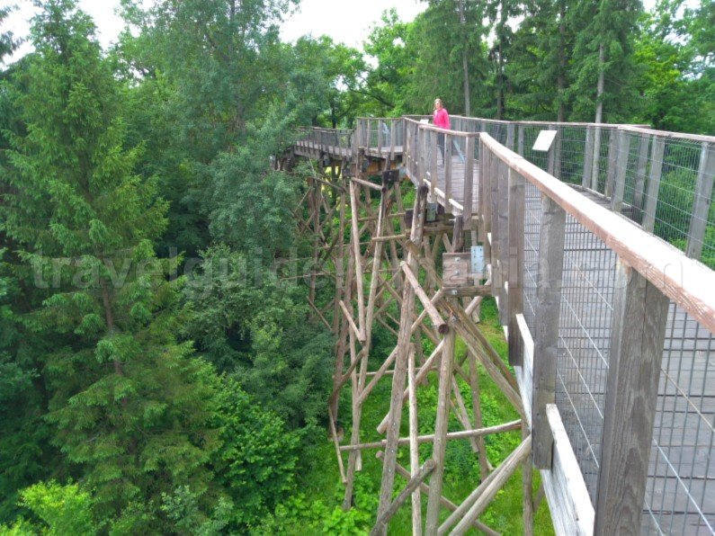 Natural Park Vanatori Neamt The Bison Land