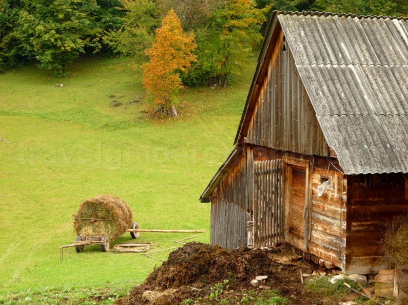 Tara Motilor Apuseni