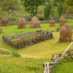 Tara Motilor Apuseni haystack