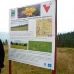 Tara Motilor Apuseni