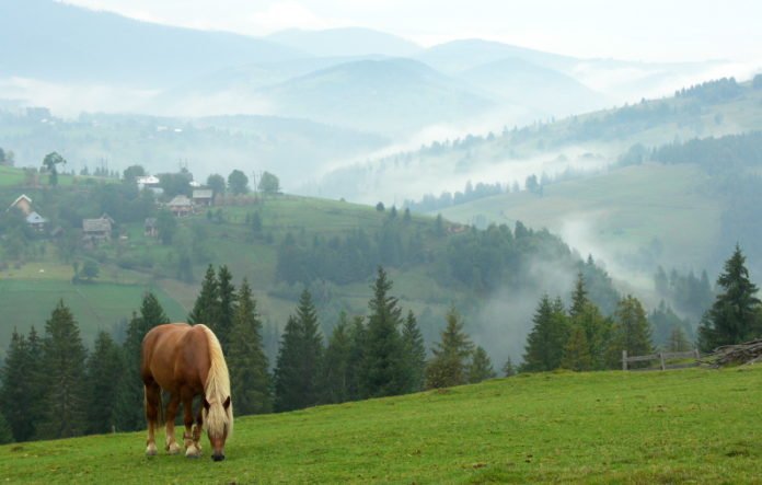 Tara Motilor Apuseni