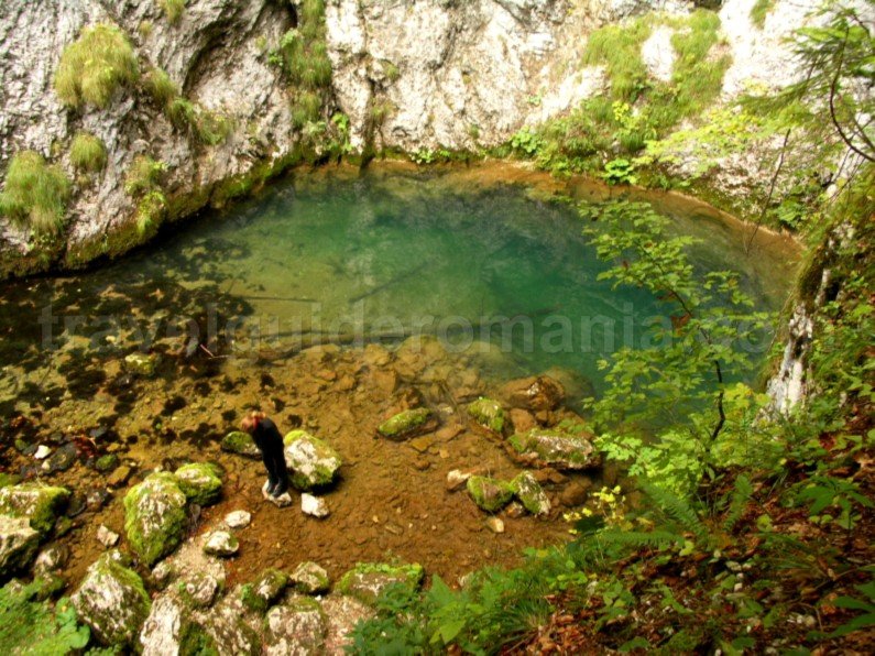 Tara Motilor Apuseni Tauz Spring