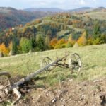 Tara Motilor Apuseni