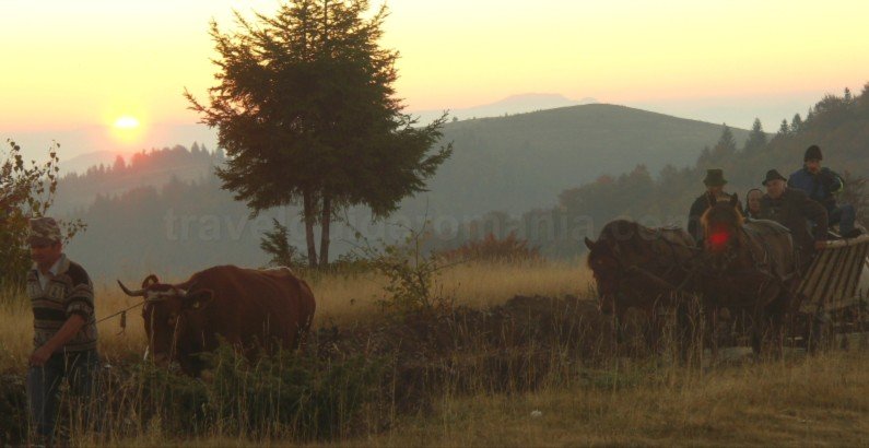 Tara Motilor Apuseni