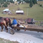 Tara Motilor Apuseni