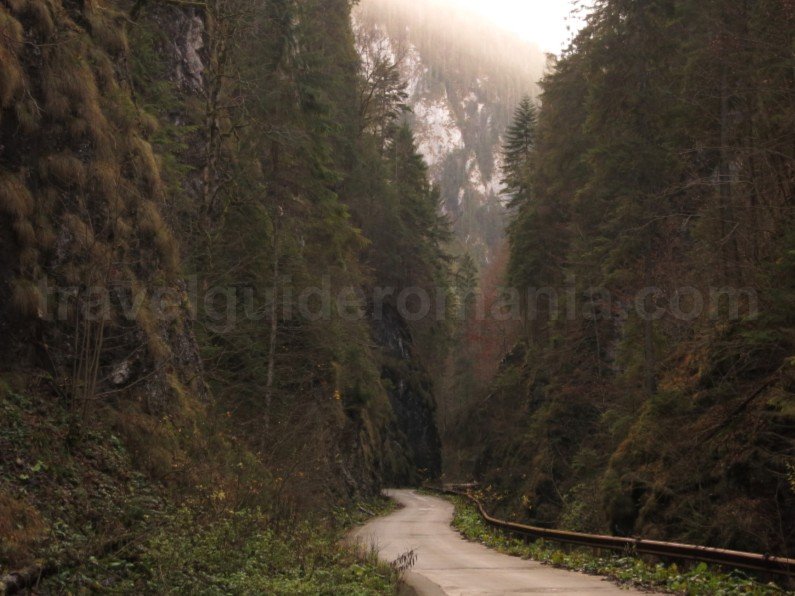 Tara Motilor Apuseni ordancusei