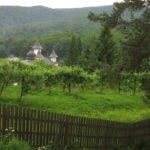 The Bison Land Natural Park Vanatori Neamt monastery
