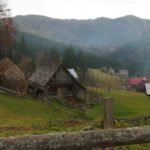 casa piatra Tara Motilor Apuseni