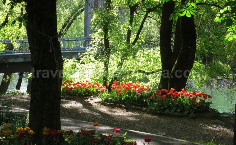 The Intellectuals’ Bridge Oradea center