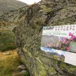 transalpina parang calcescu