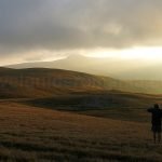 transalpina parang sunset muntinu