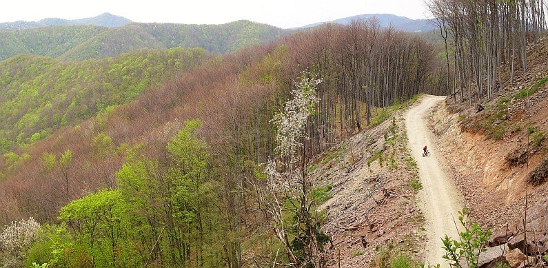 Padurea Craiului Mountains