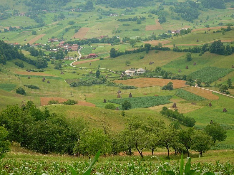 karst area Rosia in Padurea Craiului Mountains