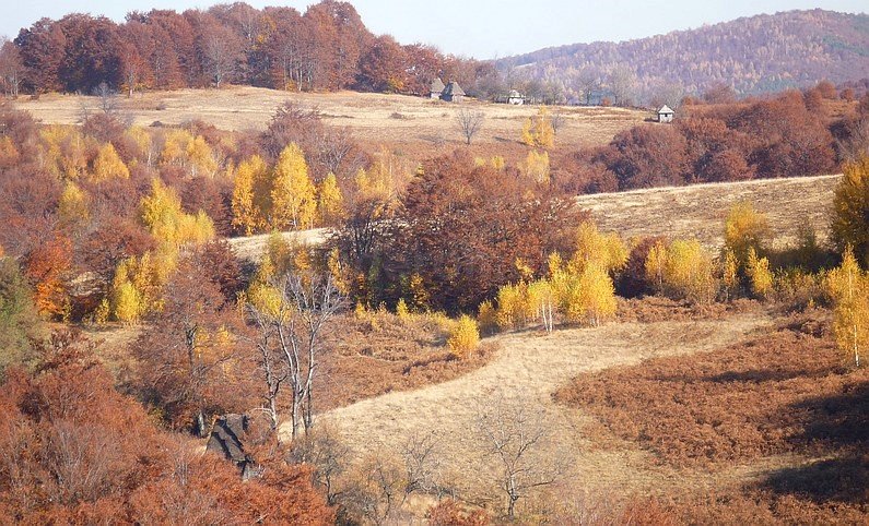 karst area Rosia in Padurea Craiului Mountains