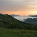 bedeleu trascau vanatarea