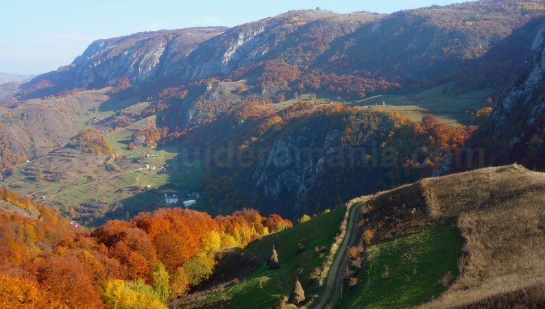 bedeleu-trascau-vanatarea-sub-piatra
