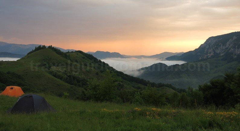 bedeleu trascau vanatarea