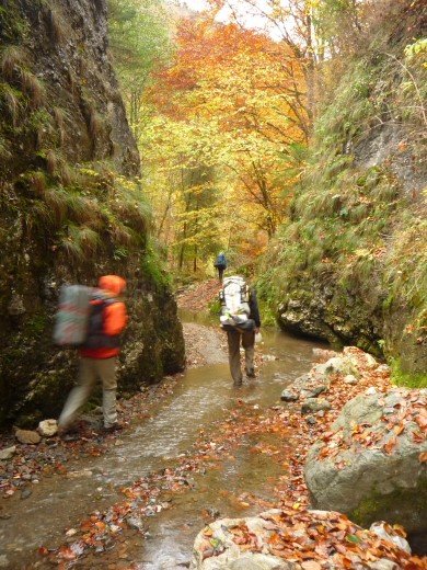 gorges geogel trascau