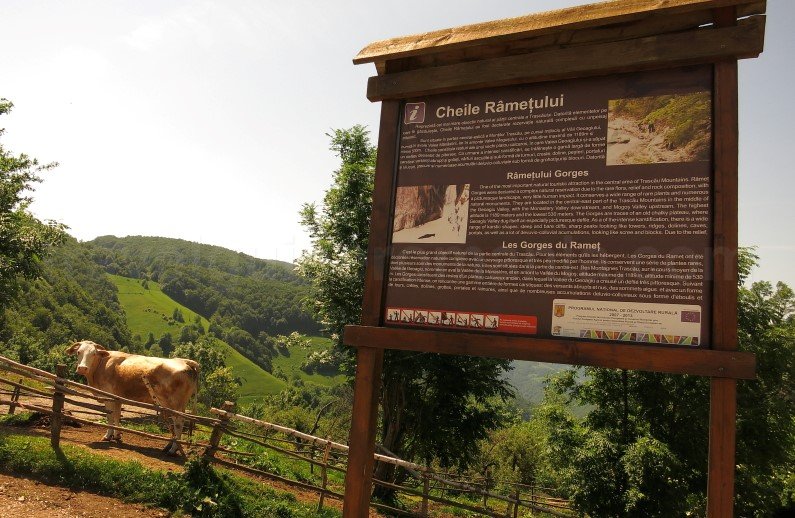 gorges rametului panou trascau