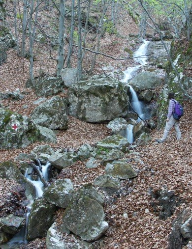 gorges-silosului-plaiului-trascau