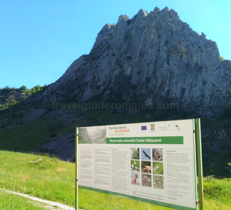 gorges valisoarei trascau