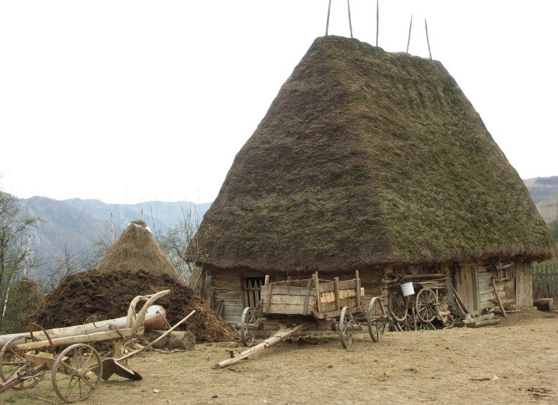 mocani-trascau-suri-acoperis-paie