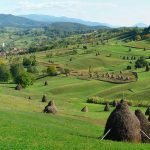 karst area Rosia in Padurea Craiului Mountains