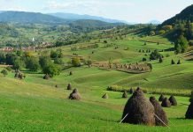 Visiting the karst area Rosia in Padurea Craiului Mountains karst area Rosia in Padurea Craiului Mountains