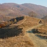 trascau dolina vanatarea
