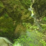 trascau-gorges-borzestilor