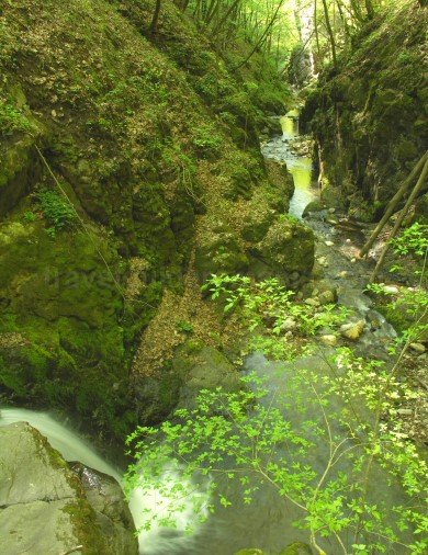 trascau-gorges-borzestilor