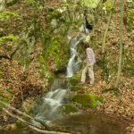 trascau-gorges-silosului-plaiului