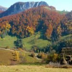 trascau hayroofs cliff