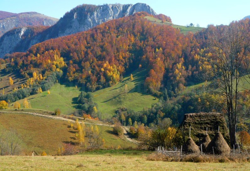 trascau hayroofs cliff