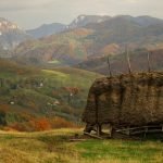 trascau mocani gorges rametului