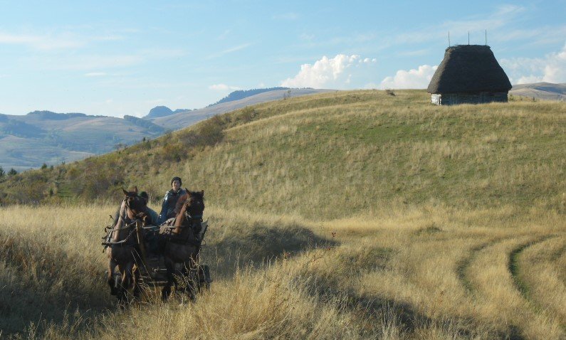 trascau-mocani-hayroof