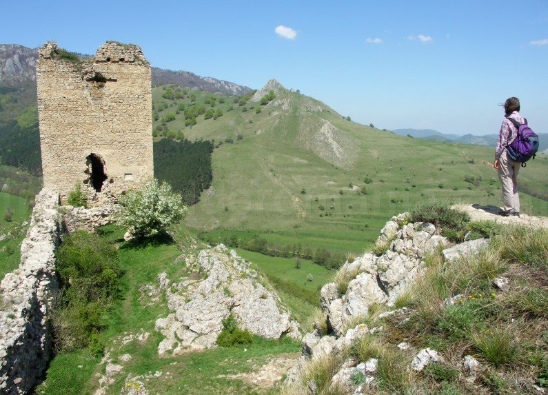 trascau-ruins-coltesti