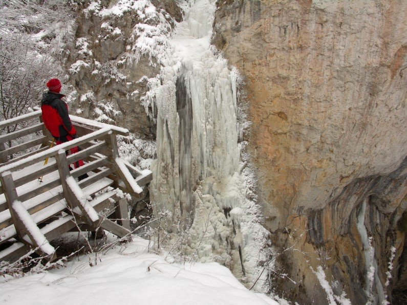 trascau-vanatarea-iarna-dalbina