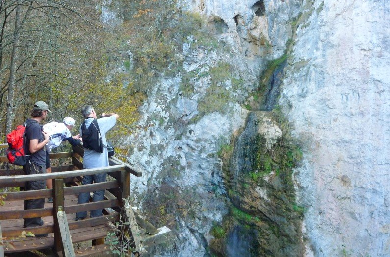 waterfall dalbina vanatarea