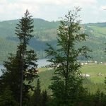 belis fantanele lake road giurcuta