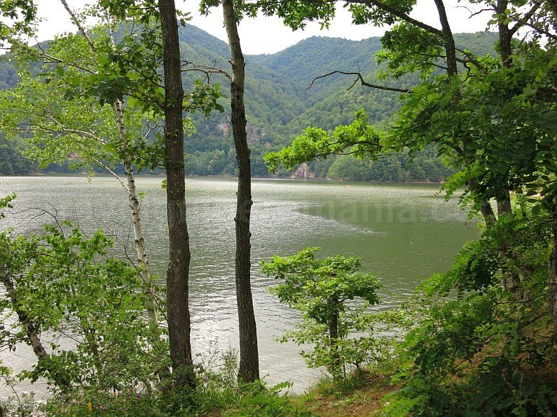 tarnita lake