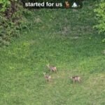 18090625111972448_travelguideromania