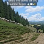 18067531880674688_travelguideromania