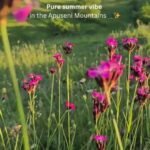 18205751794343761_travelguideromania