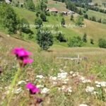 18098638223579030_travelguideromania